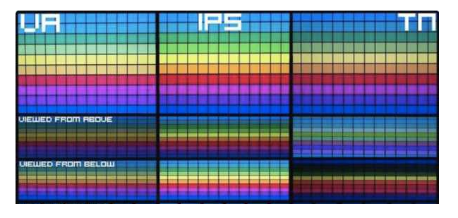 5-TN、VA、IPS圖.jpg